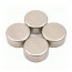 Neodymium disk magnet